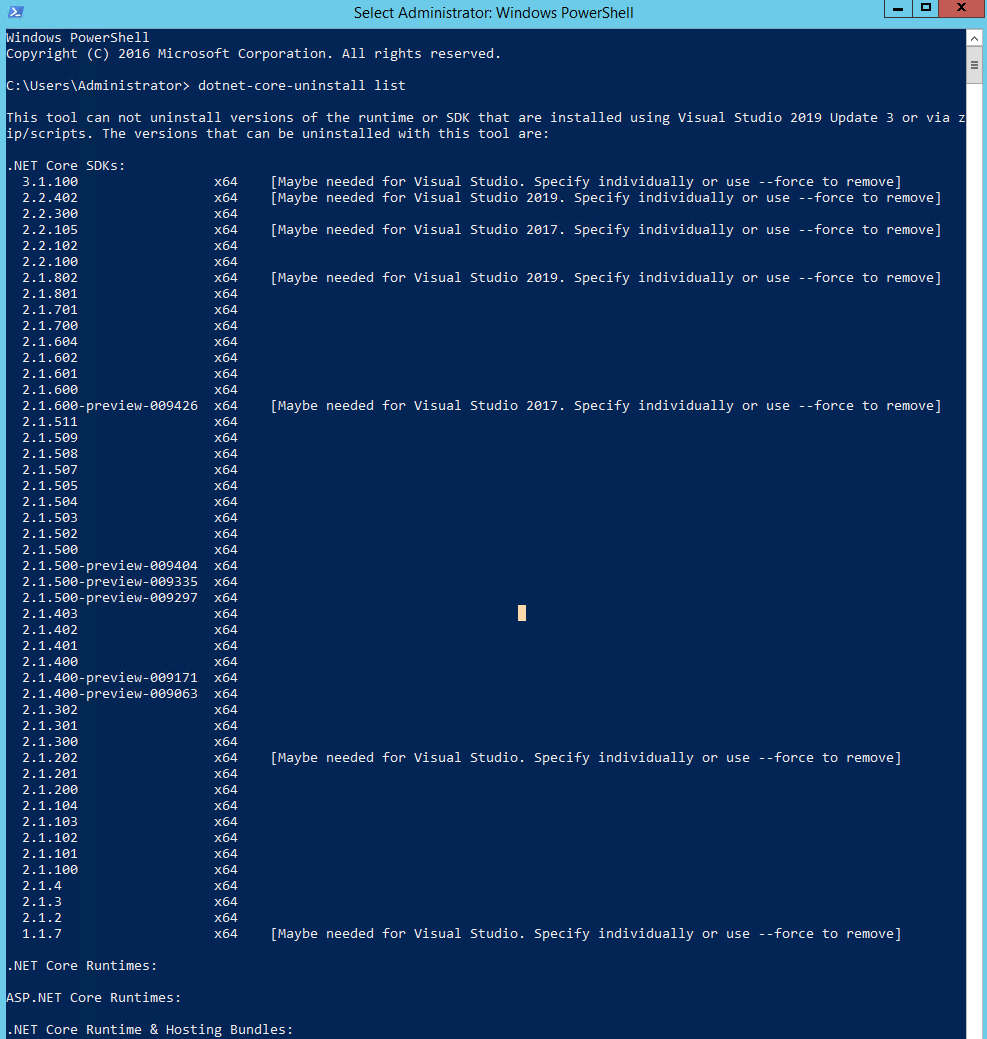 Sdk runtime что это